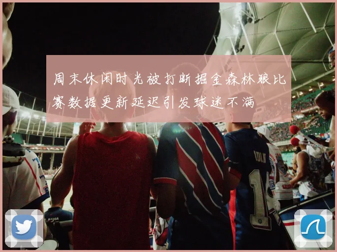 周末休闲时光被打断掘金森林狼比赛数据更新延迟引发球迷不满