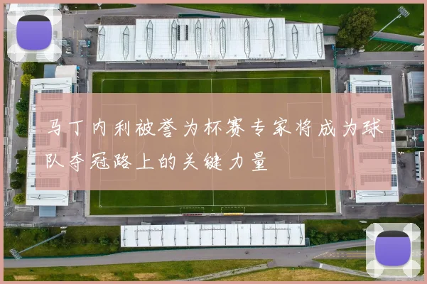 马丁内利被誉为杯赛专家将成为球队夺冠路上的关键力量