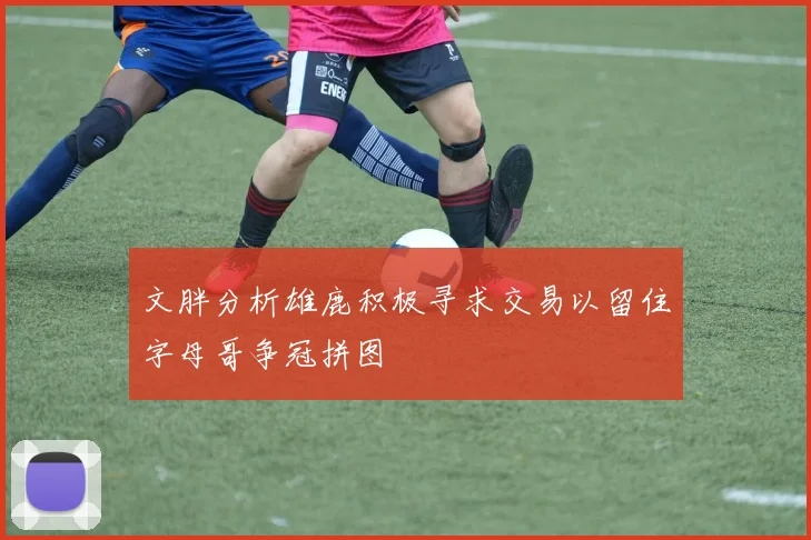 文胖分析雄鹿积极寻求交易以留住字母哥争冠拼图
