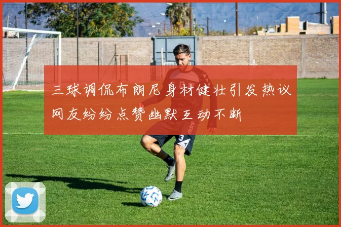 三球调侃布朗尼身材健壮引发热议网友纷纷点赞幽默互动不断